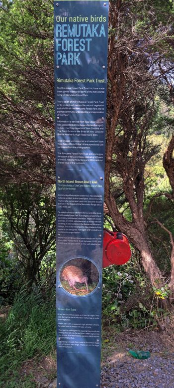 Information sign on the Ōrongorongo Track - 2025 - © wainuiomata.net