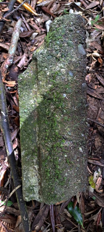 Old capping brick- 2026 - © wainuiomata.net