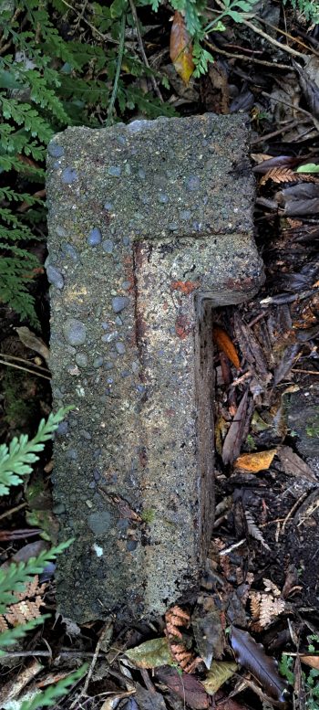 Old capping brick- 2026 - © wainuiomata.net