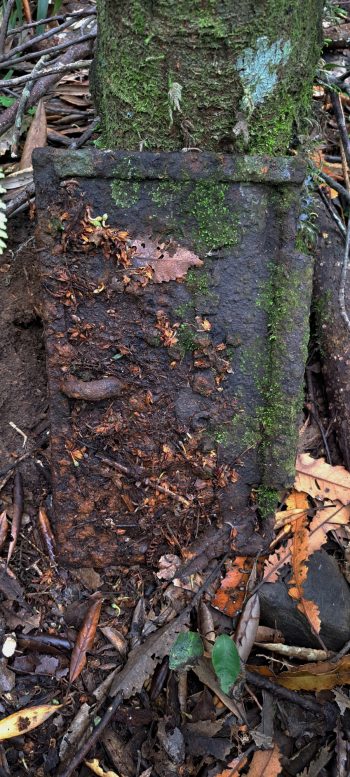 Old stove or boiler door - 2026 - © wainuiomata.net