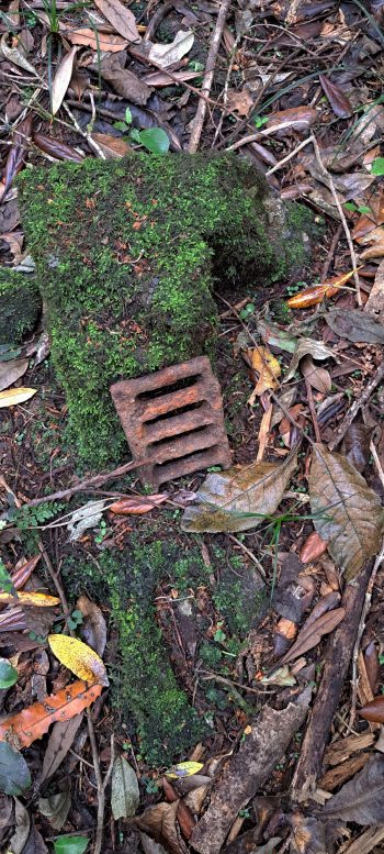 Old fire pit and part of a grill plate - 2026 - © wainuiomata.net