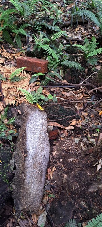 Old piece of concrete tile or brick- 2026 - © wainuiomata.net