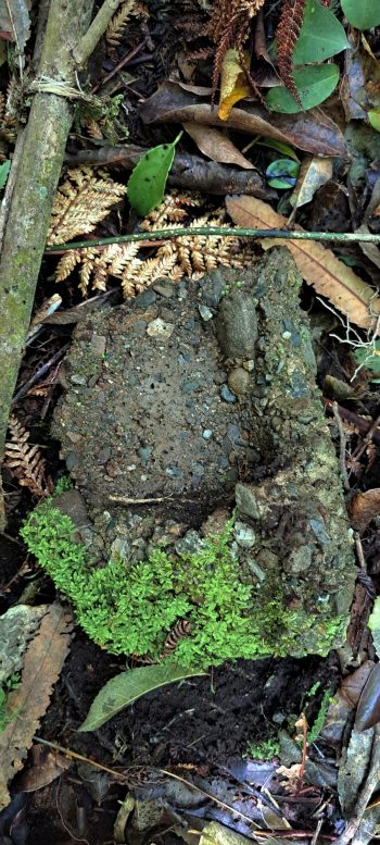Concrete brick- 2026 - © wainuiomata.net