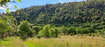 Reservoir Valley - 2026 - © wainuiomata.net