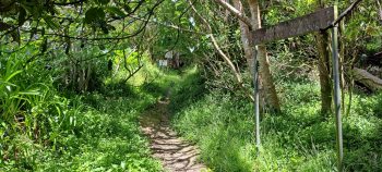 Harry Todd Track Hine Road entrance - 2026 - © wainuiomata.net