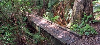 Harry Todd Track footbridge - 2026 - © wainuiomata.net