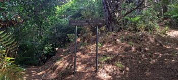Harry Todd Track sign - 2026 - © wainuiomata.net