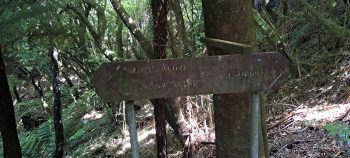 Harry Todd Track sign - 2026 - © wainuiomata.net