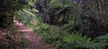 Mount Crowther Track - 2026 - © wainuiomata.net