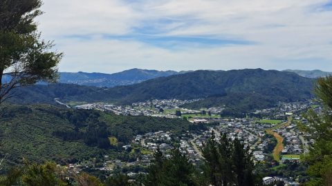Mount Crowther view - 2026 - © wainuiomata.net