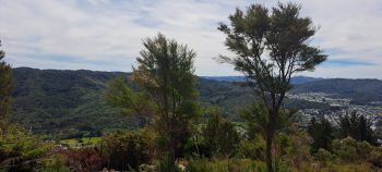 Mount Crowther view - 2026 - © wainuiomata.net