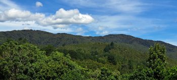 View from Mount Crowther - 2026 - © wainuiomata.net