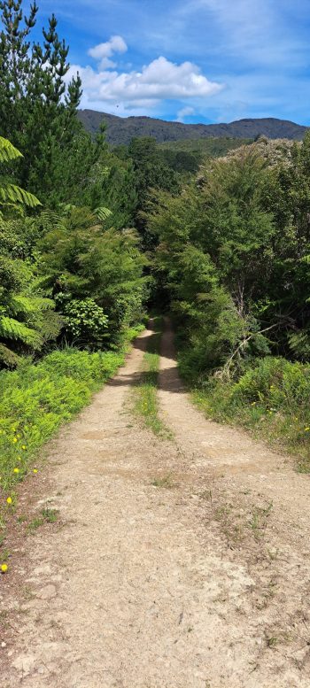 Mount Crowther Track - 2026 - © wainuiomata.net