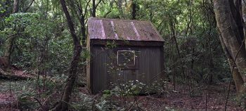 Old hut inside Harry Todd Recreation Reserve - 2026 - © wainuiomata.net