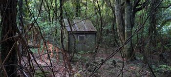 Old hut inside Harry Todd Recreation Reserve - 2026 - © wainuiomata.net