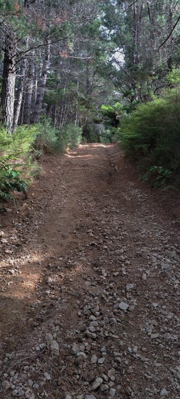 Mount Crowther Track - 2026 - © wainuiomata.net