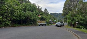Top of Sunny Grove - 2026 - © wainuiomata.net