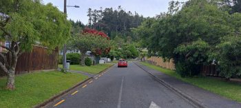 Willis Grove - 2026 - © wainuiomata.net