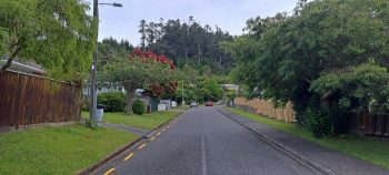 Willis Grove - 2026 - © wainuiomata.net