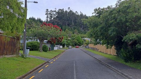 Willis Grove - 2026 - © wainuiomata.net