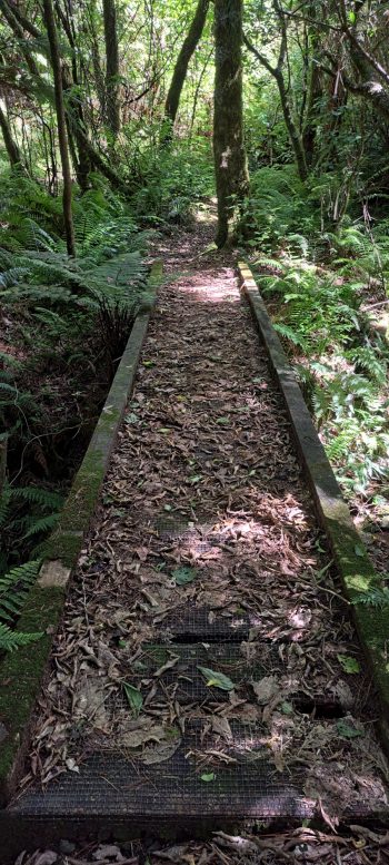 Harry Todd Track - 2026 - © wainuiomata.net
