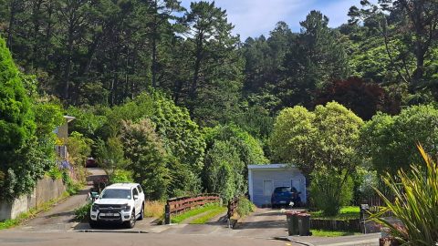 Harry Todd Track entrance / exit on Willis Grove - 2026 - © wainuiomata.net
