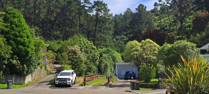 Harry Todd Track entrance / exit on Willis Grove - 2026 - © wainuiomata.net