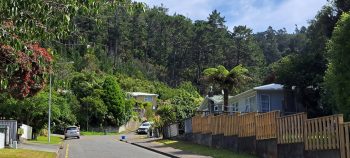 Willis Grove & Harry Todd Recreation Reserve - 2026 - © wainuiomata.net