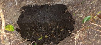 Water Race broken roof - 2026 - © wainuiomata.net