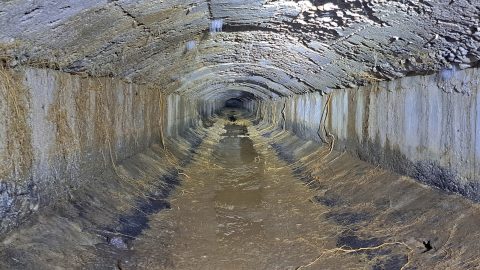 Wainuiomata Water Race ceiling - 2026 - © wainuiomata.net