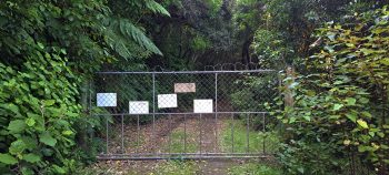 Maintenance Road gate - 2026 - © wainuiomata.net