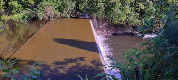 Lower Dam Spillway- 2026 - © wainuiomata.net