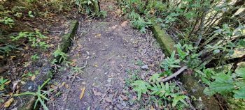Lower Dam old Boat Shed foundation- 2026 - © wainuiomata.net