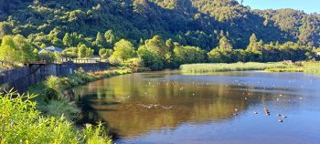 Lower Dam & Wetland - 2026 - © wainuiomata.net