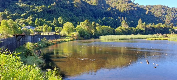 Lower Dam & Wetland - 2026 - © wainuiomata.net
