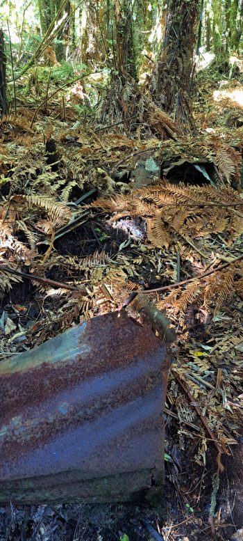 Collapsed structure - 2026 - © wainuiomata.net