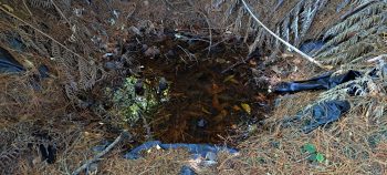 Makeshift pool - 2026 - © wainuiomata.net