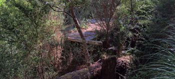 Abandoned structure - 2026 - © wainuiomata.net