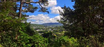 Wainuiomata view from the Harry Todd Recreation Reserve - 2026 - © wainuiomata.net