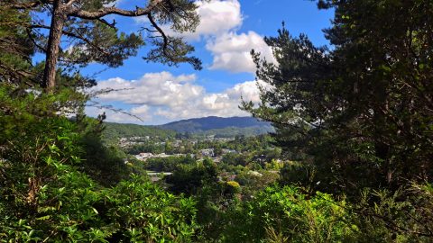 Wainuiomata view from the Harry Todd Recreation Reserve - 2026 - © wainuiomata.net
