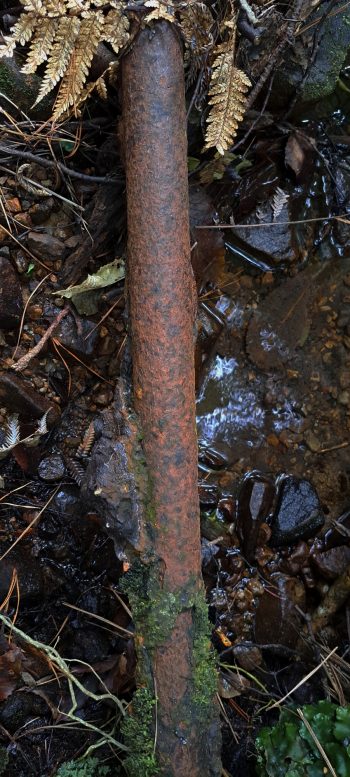 Old private water intake pipe - 2026 - © wainuiomata.net