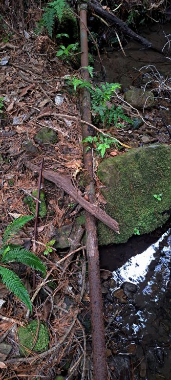 Old private water intake pipe - 2026 - © wainuiomata.net