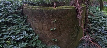 Concrete cylinder - 2026 - © wainuiomata.net