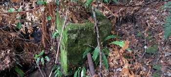 Old private water intake weir and pipe - 2026 - © wainuiomata.net