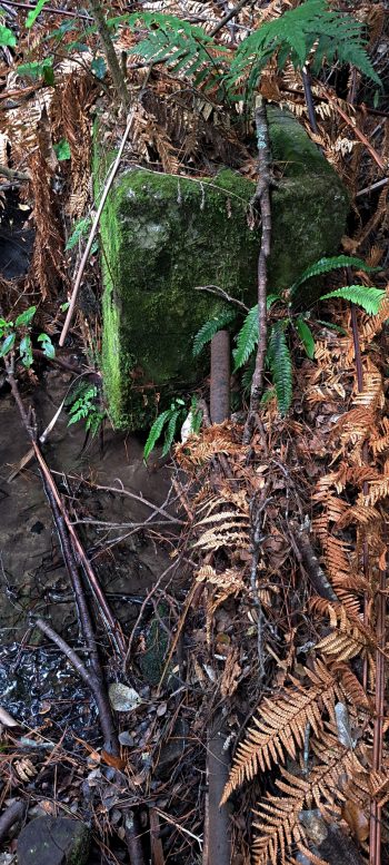 Old private water intake weir and pipe - 2026 - © wainuiomata.net