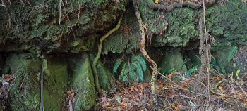 Eroded lower strata layer - 2026 - © wainuiomata.net