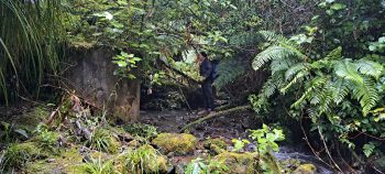 Concrete Cylinder at Skerretts Creek - 2026 - © wainuiomata.net