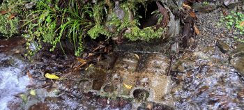 V12 Allison motor from a Kittyhawk plane in Skerretts Creek - 2026 - © wainuiomata.net