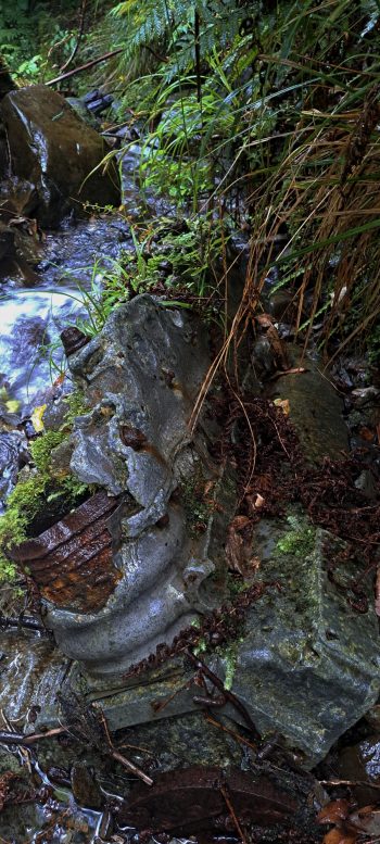 V12 Allison motor from a Kittyhawk plane in Skerretts Creek - 2026 - © wainuiomata.net