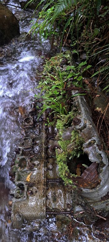 V12 Allison motor from a Kittyhawk plane in Skerretts Creek - 2026 - © wainuiomata.net